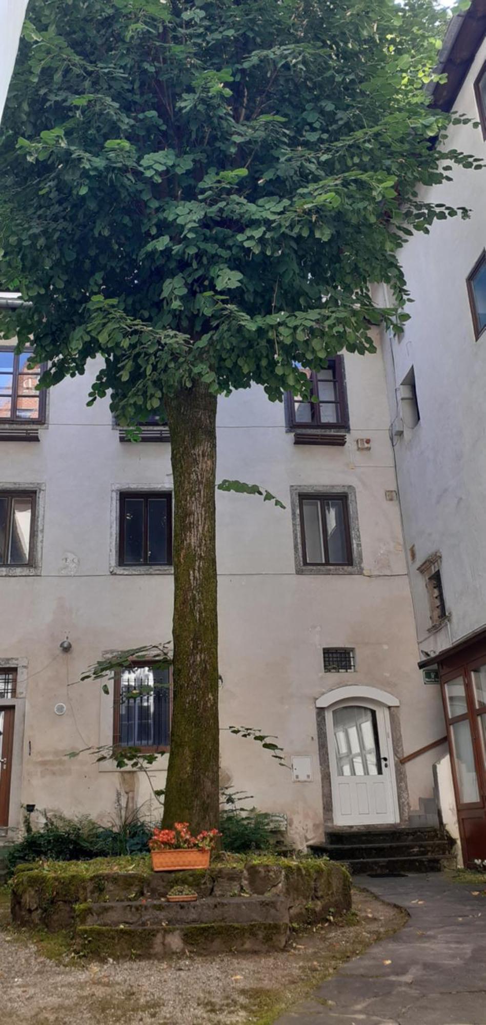 Lovely Old City-Center Apartment Liubliana Exterior foto